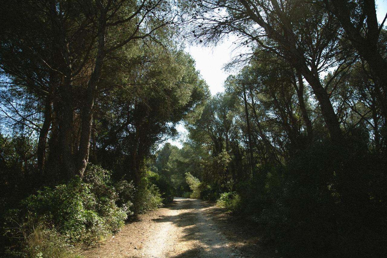 Masia Bartomeu Rural House Between Vineyards 2Km From The Beach 埃勒凡达尔 外观 照片