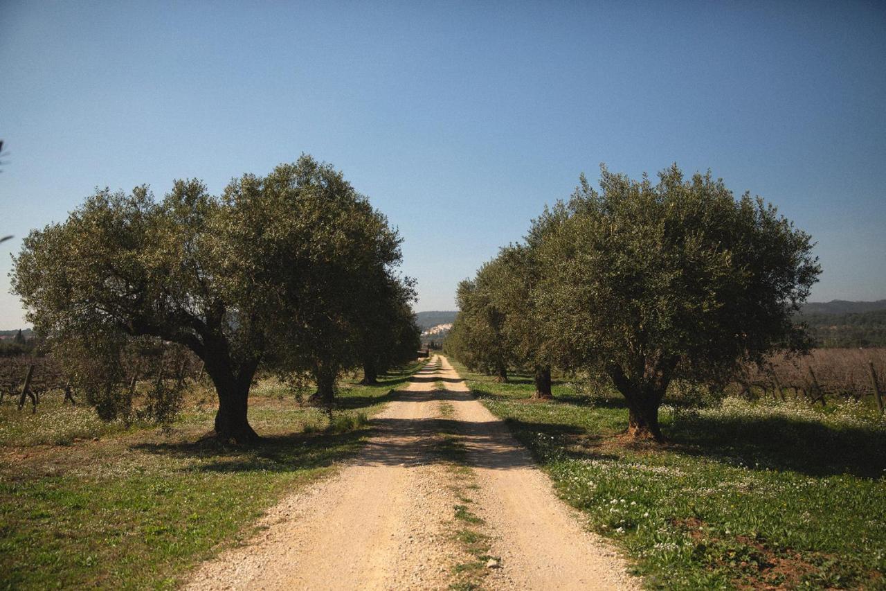 Masia Bartomeu Rural House Between Vineyards 2Km From The Beach 埃勒凡达尔 外观 照片