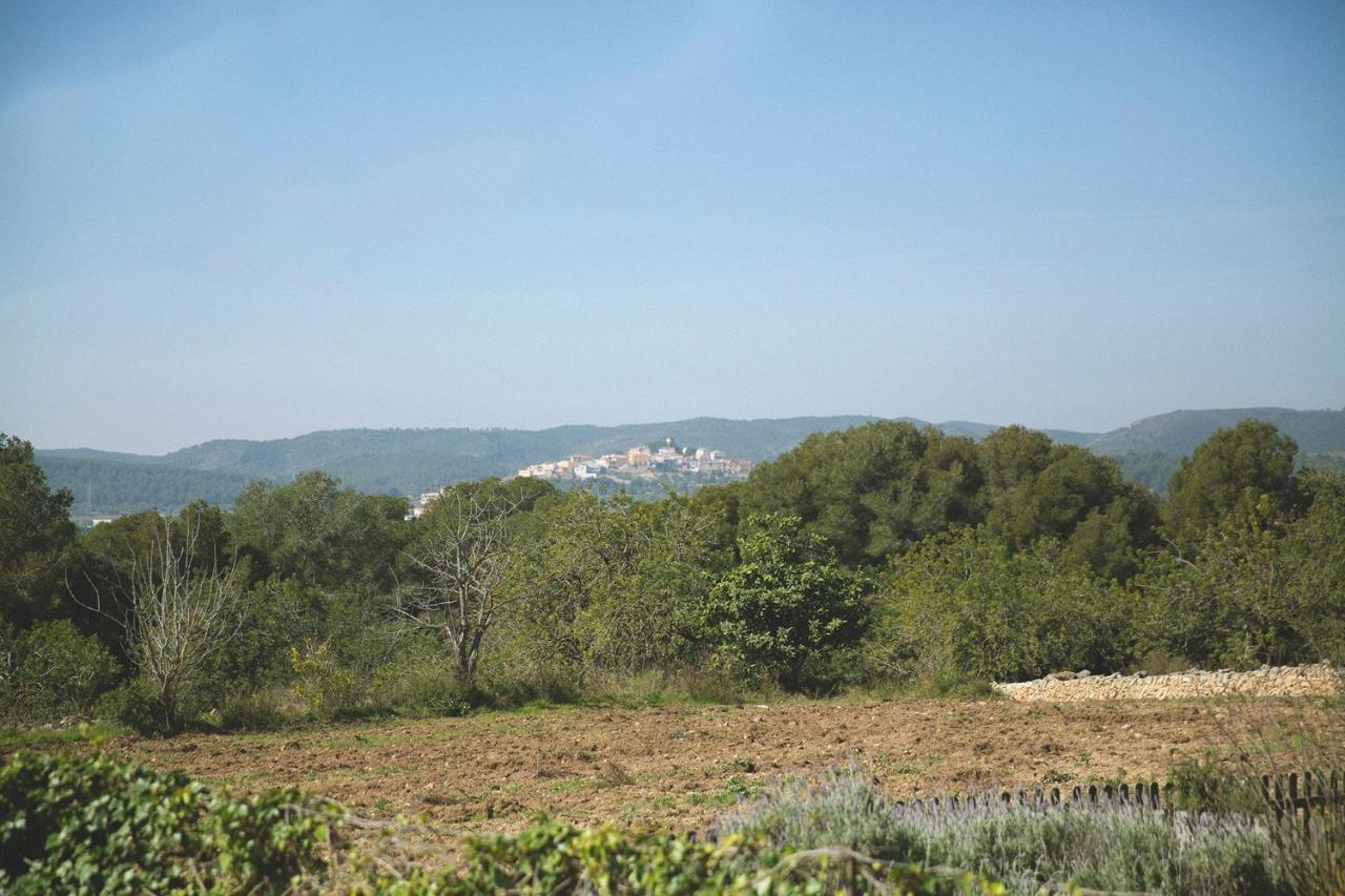 Masia Bartomeu Rural House Between Vineyards 2Km From The Beach 埃勒凡达尔 外观 照片
